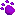purple paw