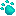 turquoise paw